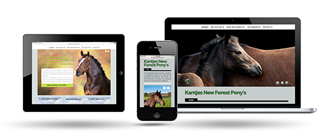 Kantjes Newforest Ponies  by Webdesign Maastricht
