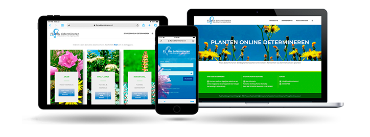 Flora van Nederland determineren by webdesign Holland